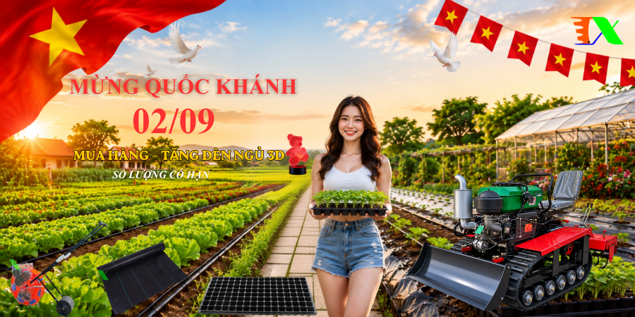 đai lễ 2/9
